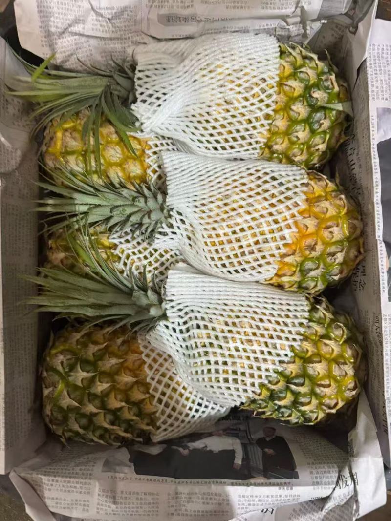 菠萝，徐闻菠萝，海南菠萝，香水菠萝，品质至优