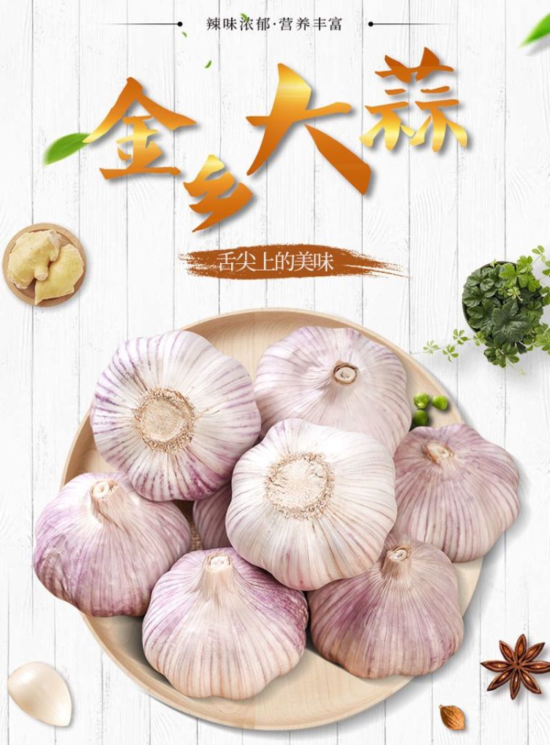紫皮大蒜精品净蒜毛蒜量大产地货源充足真诚服务。