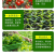 有机腐熟营养土阳台种菜瓜果蔬菜专用土透气肥沃不烧根