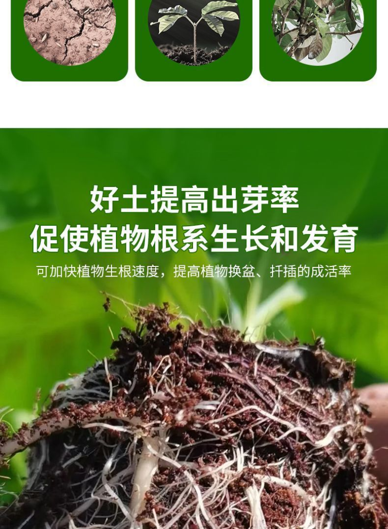 有机腐熟营养土阳台种菜瓜果蔬菜专用土透气肥沃不烧根