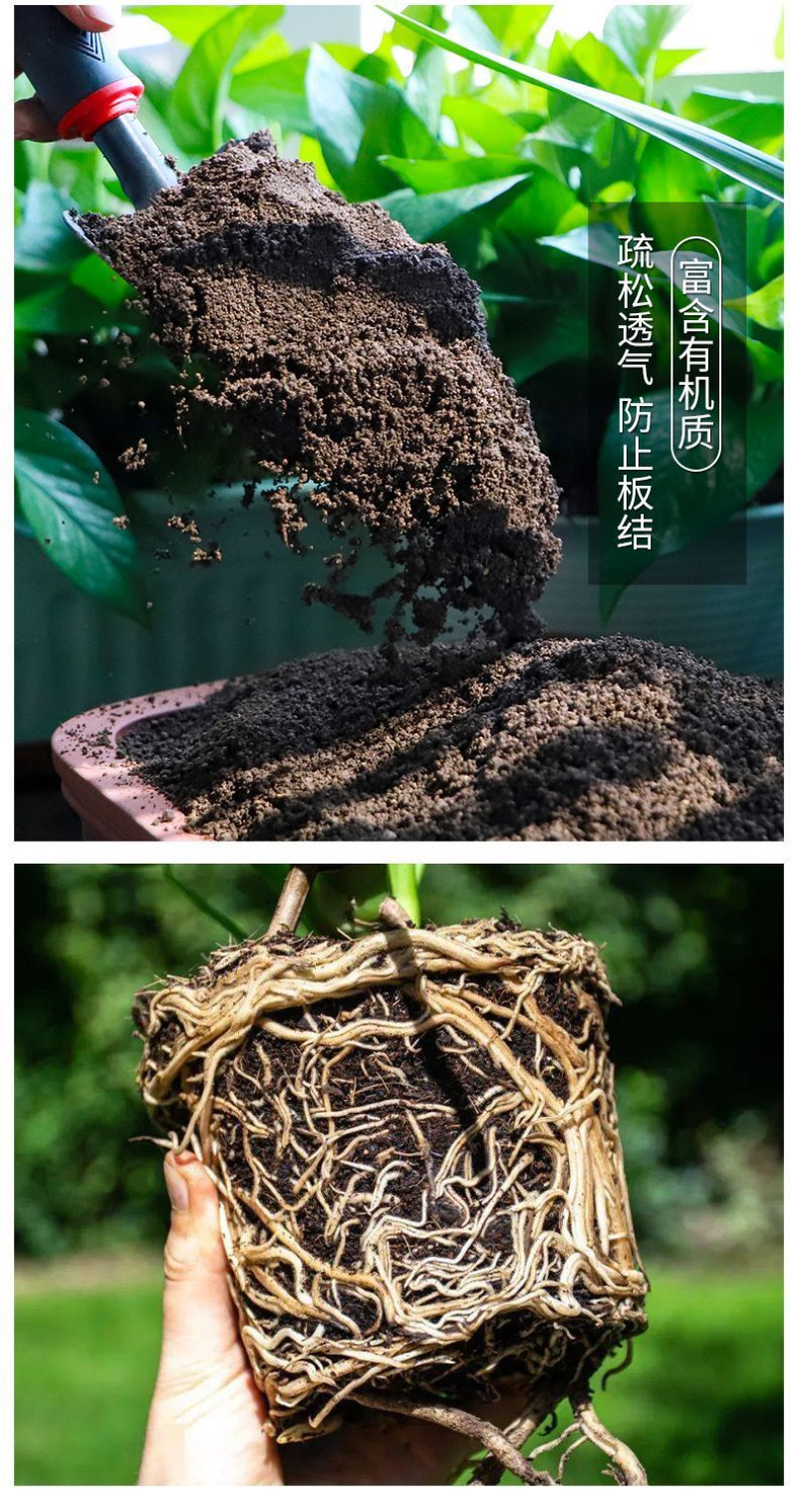 有机腐熟营养土阳台种菜瓜果蔬菜专用土透气肥沃不烧根