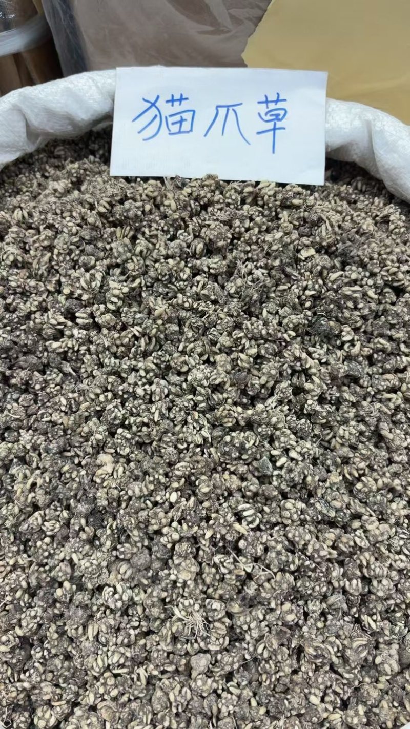 野生猫爪草精品质量中药材新鲜天然正品批发价