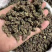 野生猫爪草精品质量中药材新鲜天然正品批发价