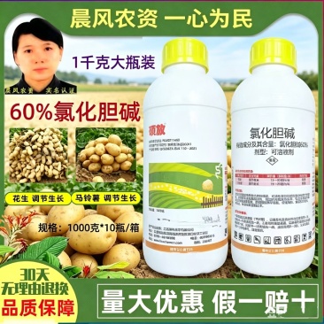 硕放60%氯化胆碱马铃薯花生地下根茎块茎膨大剂植物生长调