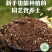 轻质营养土阳台种菜瓜果蔬菜专用土透气肥沃不烧根育苗扦插