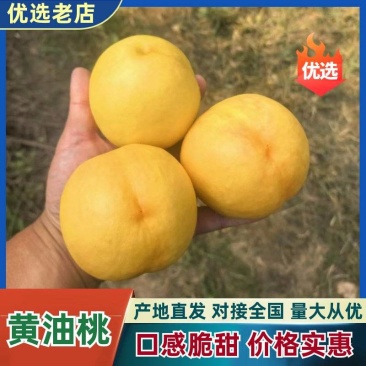精品黄油桃中油6号中油4号新鲜采摘脆甜多汁自然成熟