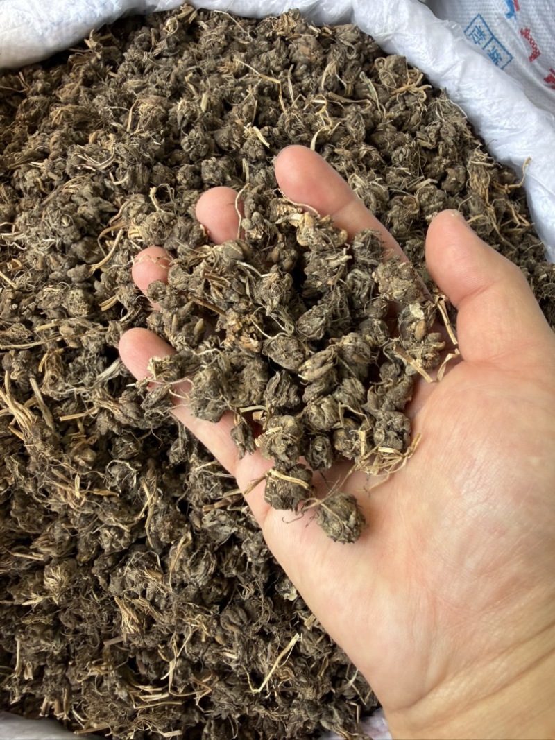 猫爪草纯野生尖爪正品中药材泡水产地直销2026年新货批发
