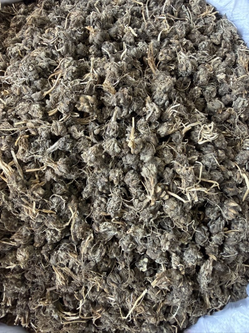 猫爪草纯野生尖爪正品中药材泡水产地直销2026年新货批发