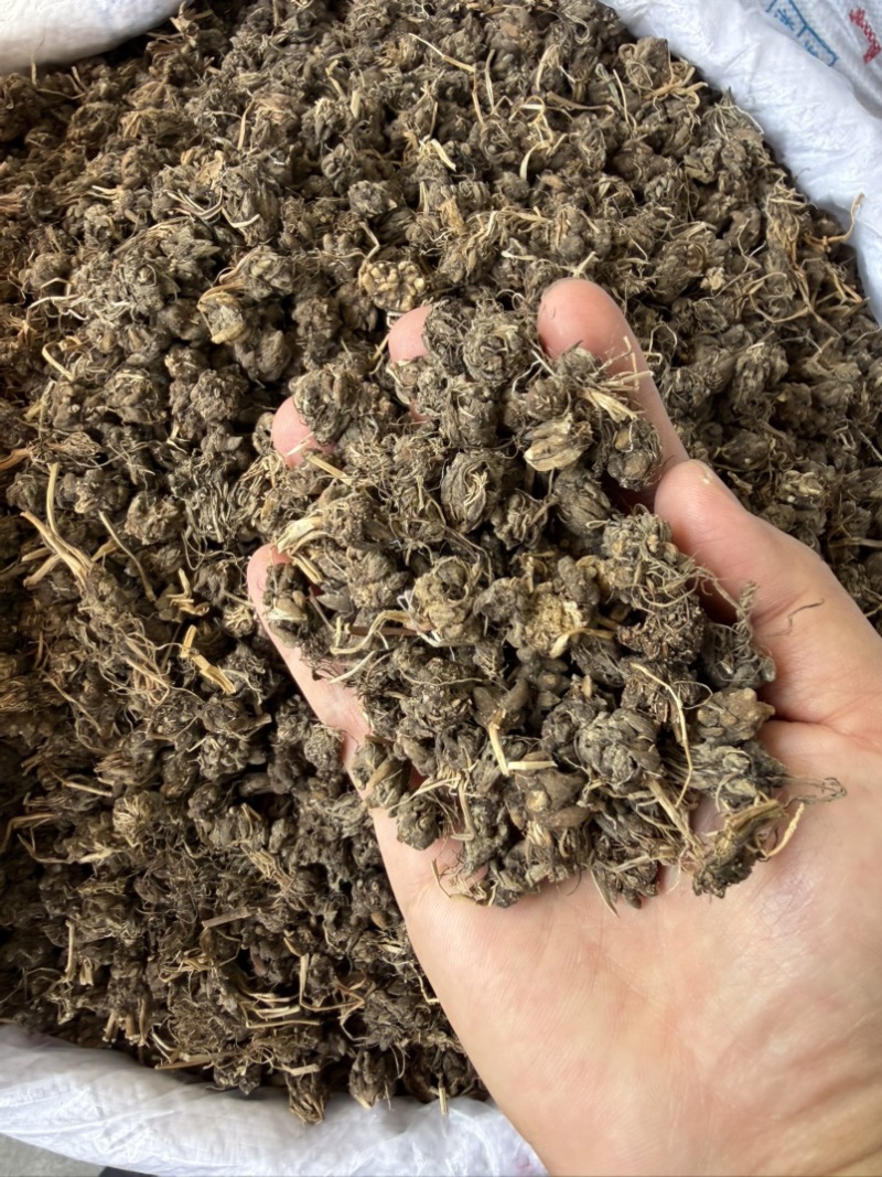 猫爪草纯野生尖爪正品中药材泡水产地直销2026年新货批发