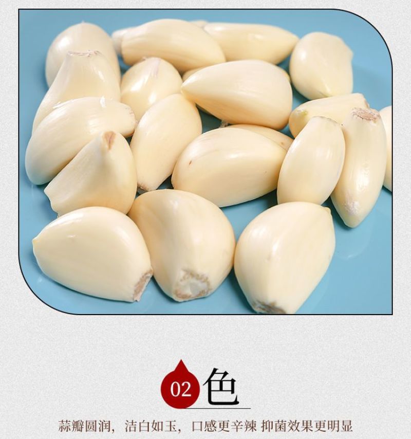 紫皮大蒜精品净蒜毛蒜量大产地货源充足真诚服务。