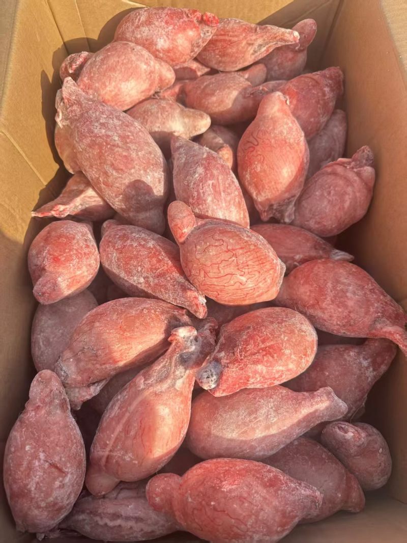 新疆鲜冻羊宝，各种规格大小都有，可按客户要求分拣大小