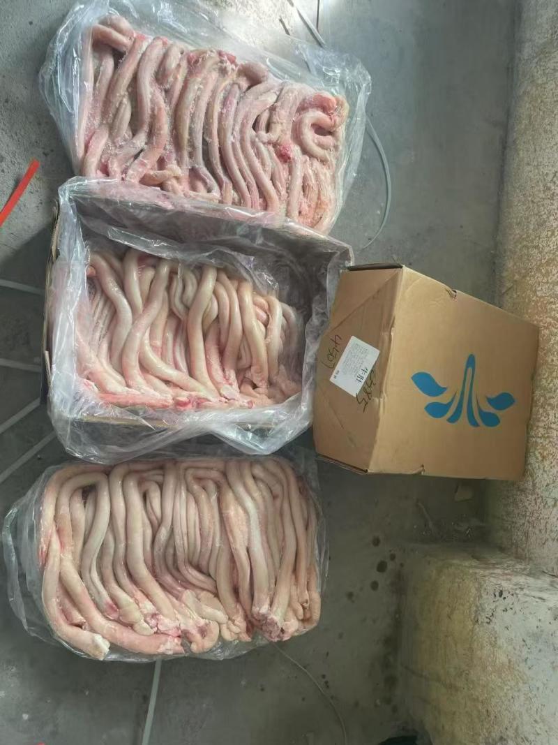 分层大牛鞭，精修纯干货不带鞭根，质量稳定，价格便宜