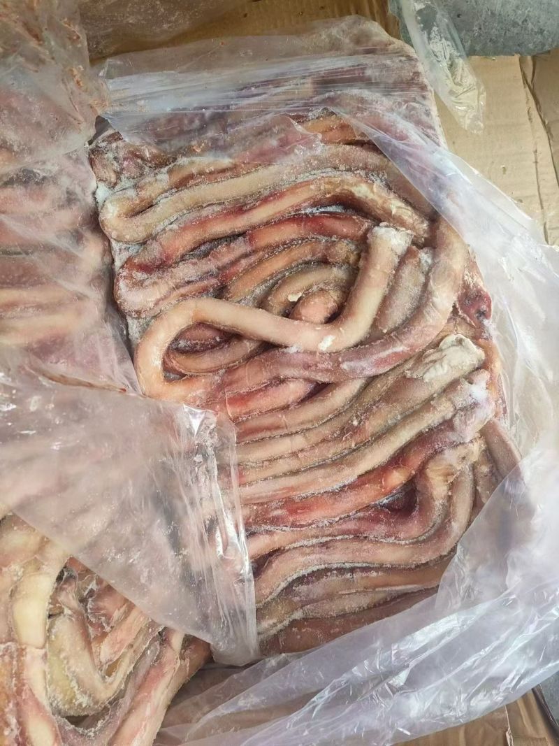 分层大牛鞭，精修纯干货不带鞭根，质量稳定，价格便宜