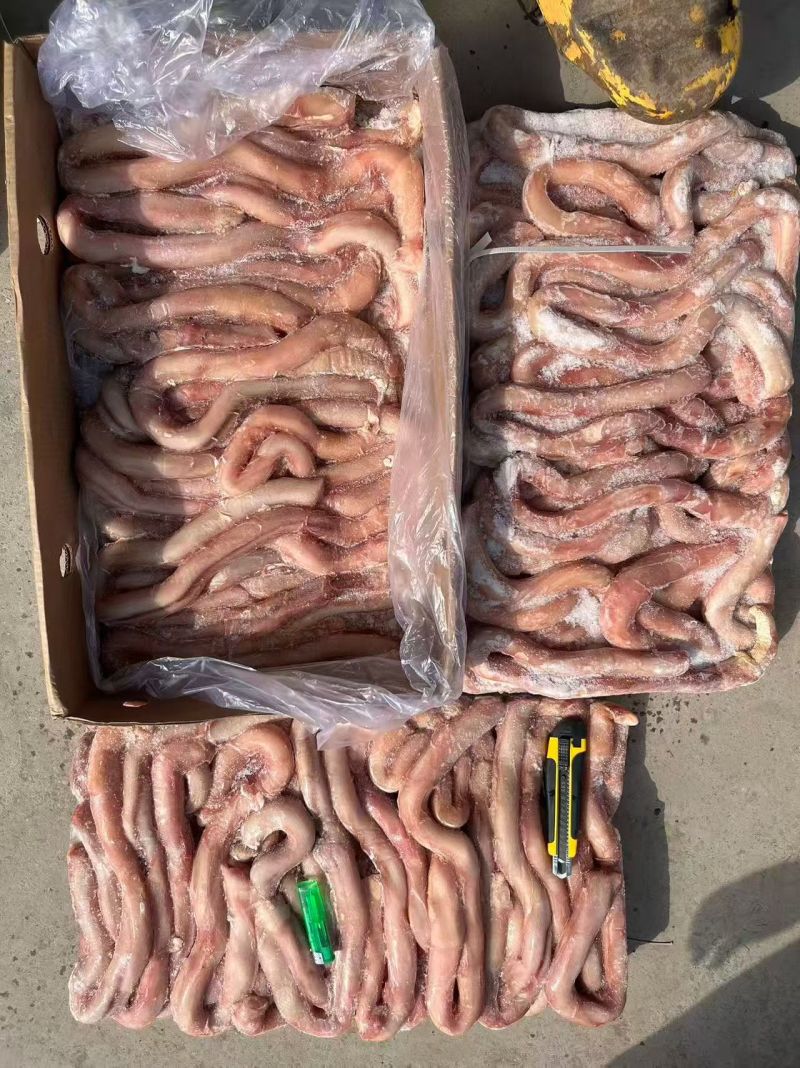 分层大牛鞭，精修纯干货不带鞭根，质量稳定，价格便宜