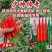 少帅传奇辣椒种子早熟大果青红两用1000粒