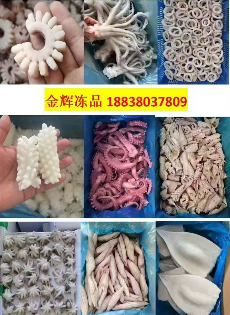 脆口须/小脆口章鱼须/脆口鱿鱼须一手货源批发价大量现货供