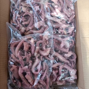脆口须/小脆口章鱼须/脆口鱿鱼须一手货源批发价大量现货供