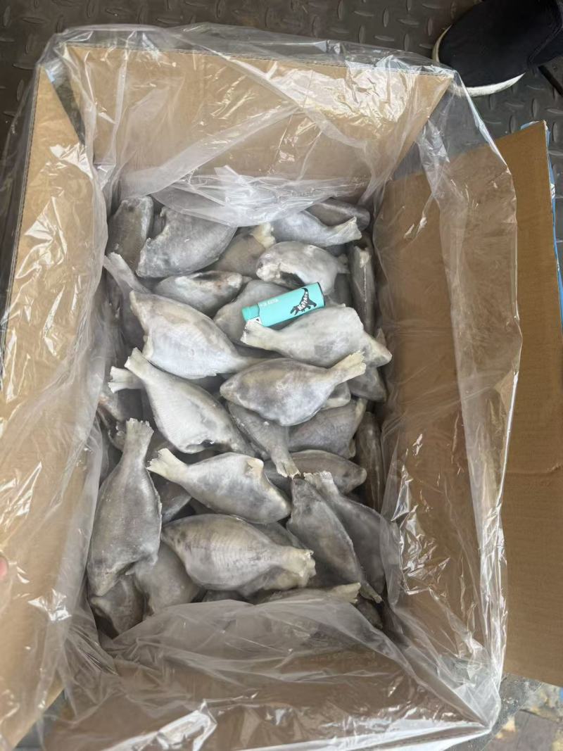 三去香鱼一手货源，大量现货供应，价格优惠