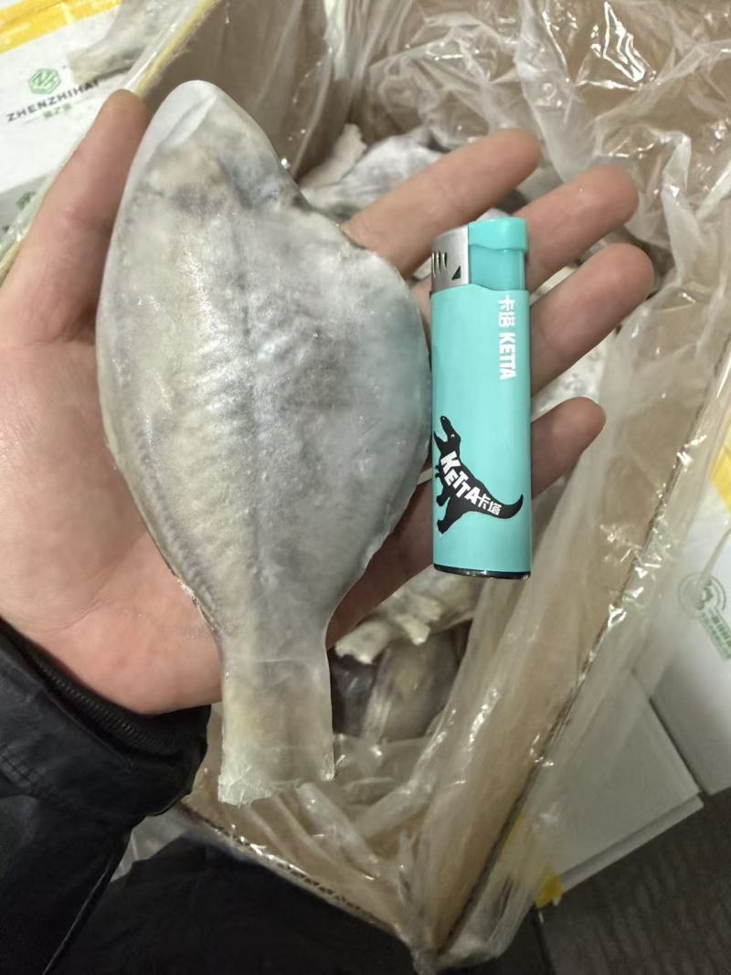 三去香鱼一手货源，大量现货供应，价格优惠