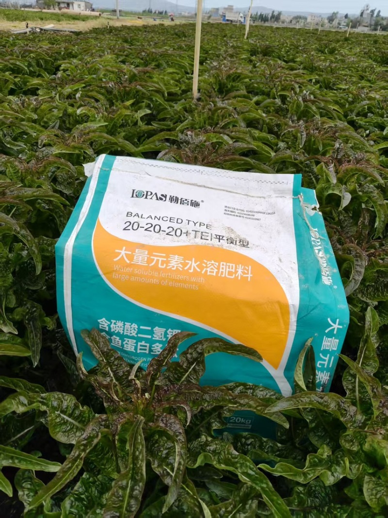 大量元素平衡水溶肥20-20-20+TE/20kg