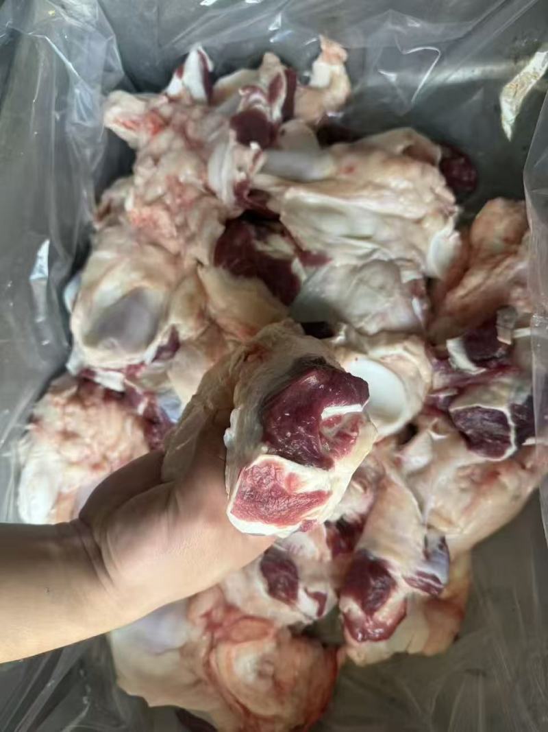 鲜牛窝骨