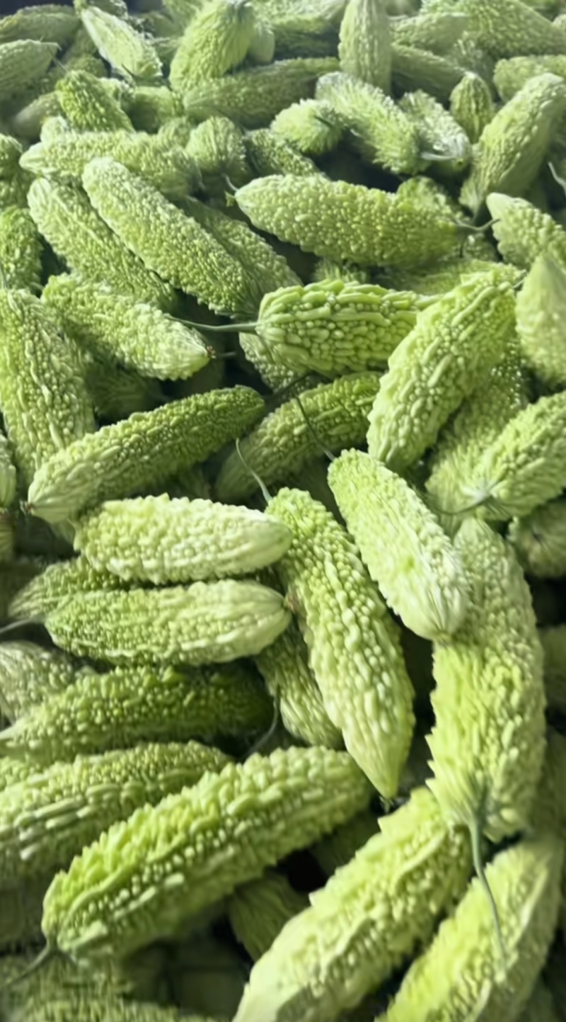 白苦瓜，新苗白米苦瓜，品质嘎嘎可以，每天产地直发