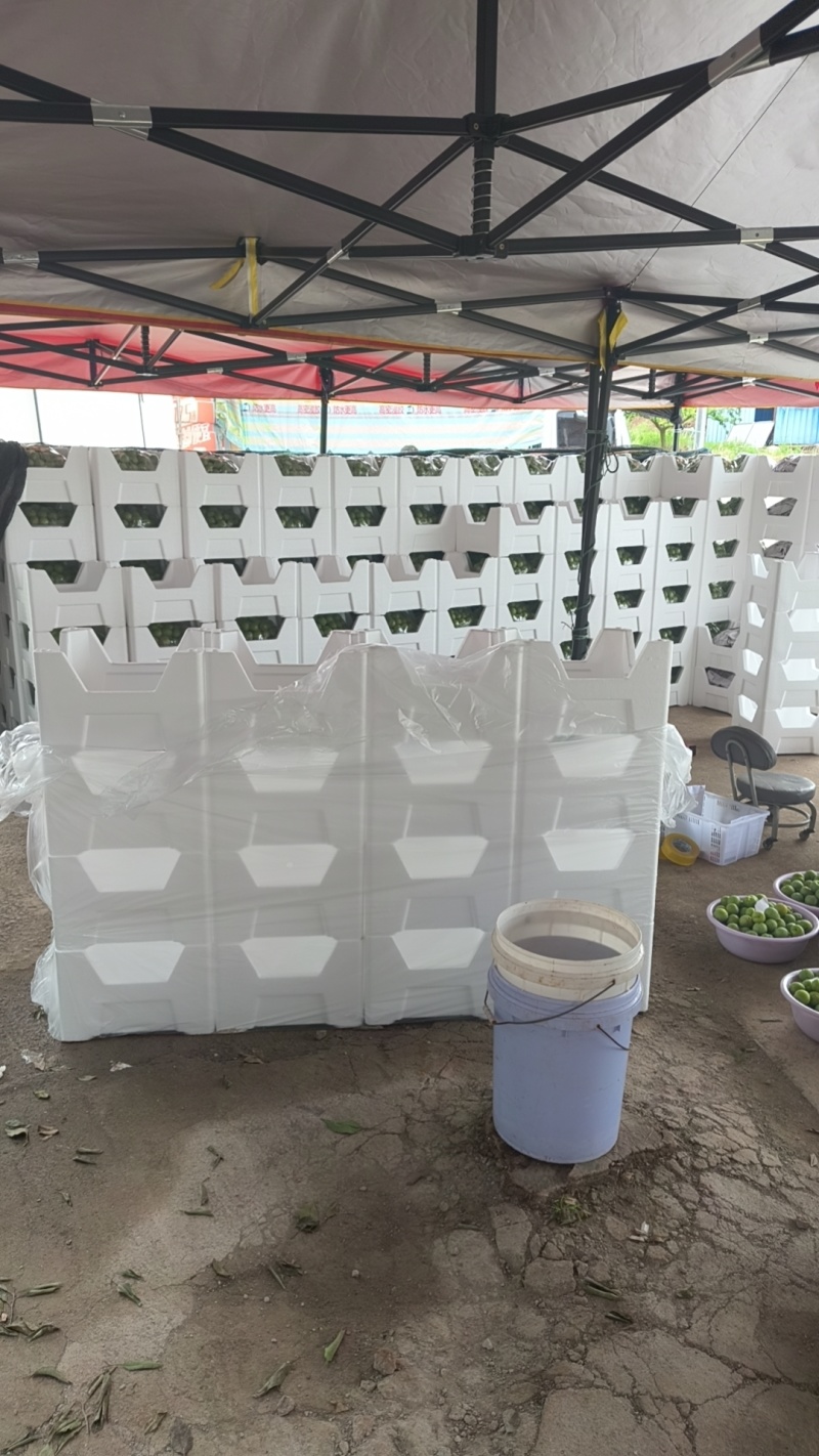 清脆，8钱起，大量承接电商团购市场商超品质