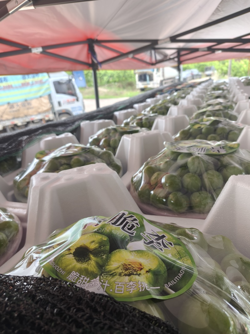 清脆，8钱起，大量承接电商团购市场商超品质