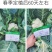 耕耘雪剑9号春秋季90天紧花菜种子花球雪白紧花菜种子种子
