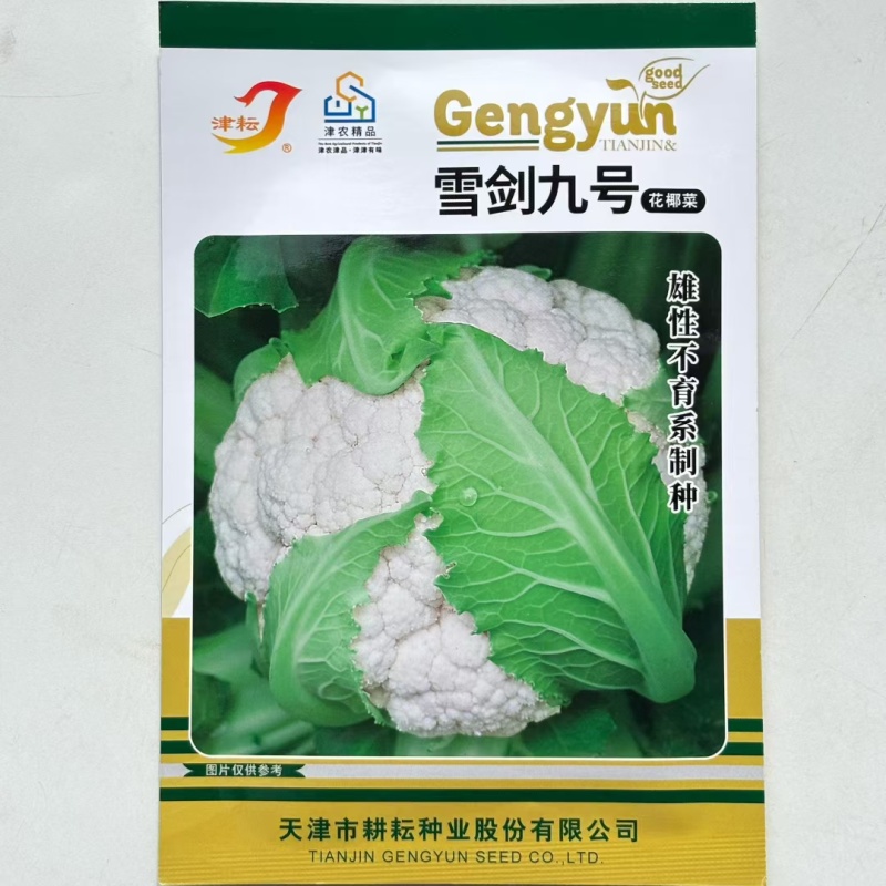 耕耘雪剑9号春秋季90天紧花菜种子花球雪白紧花菜种子种子