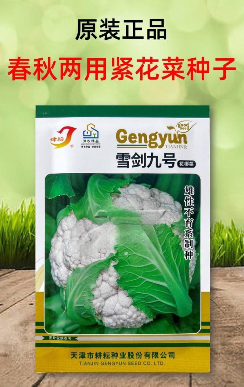 耕耘雪剑9号春秋季90天紧花菜种子花球雪白紧花菜种子种子
