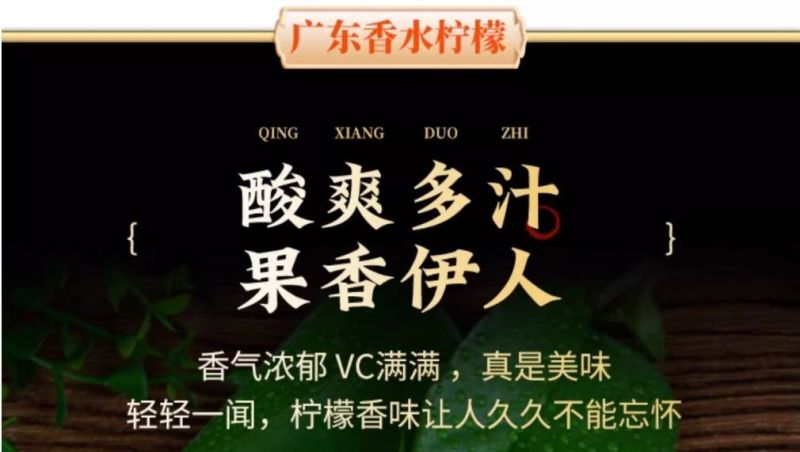 广东阳春香水柠檬新鲜现摘柑橘类水果