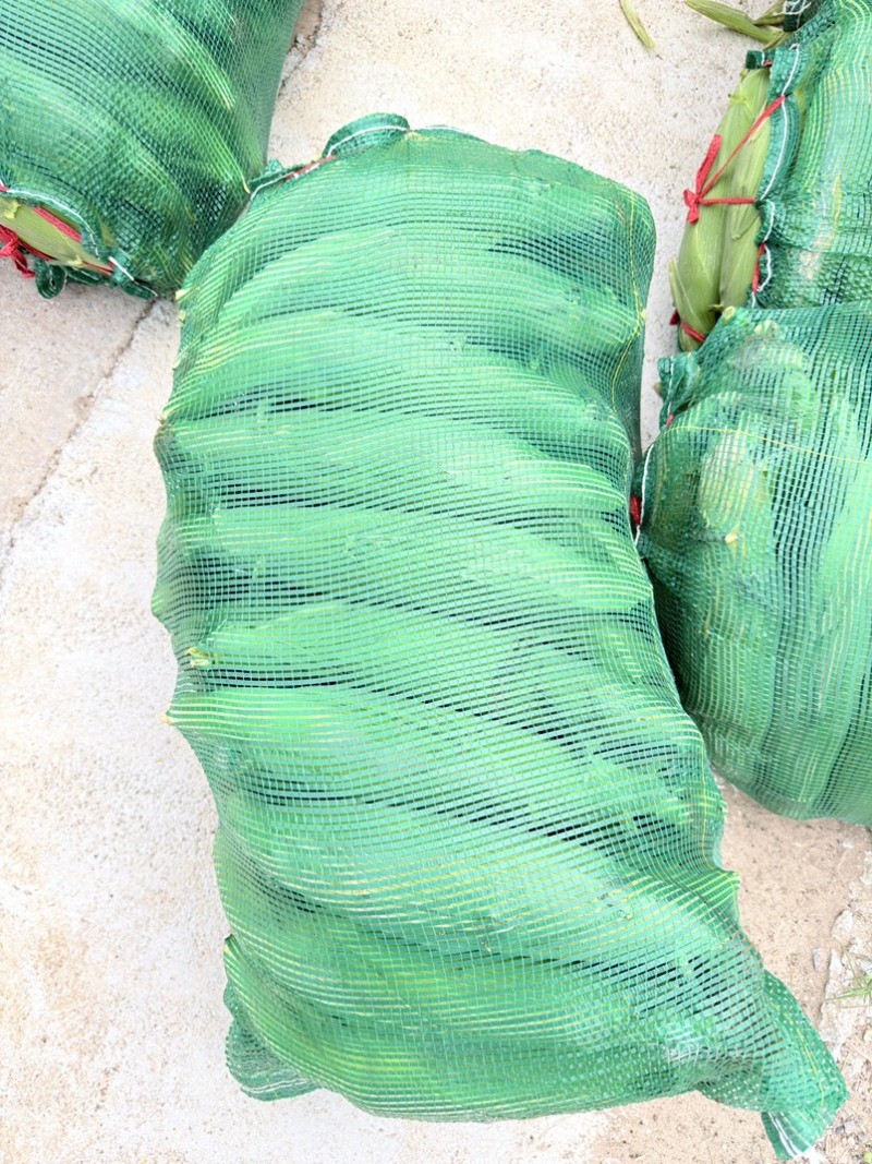 双色水果玉米