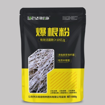 爆根粉菌含量≥10亿/g