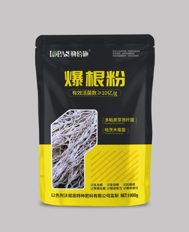 爆根粉菌含量≥10亿/g