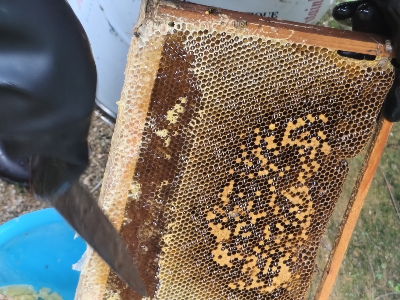 农家自产土蜂蜜不掺糖