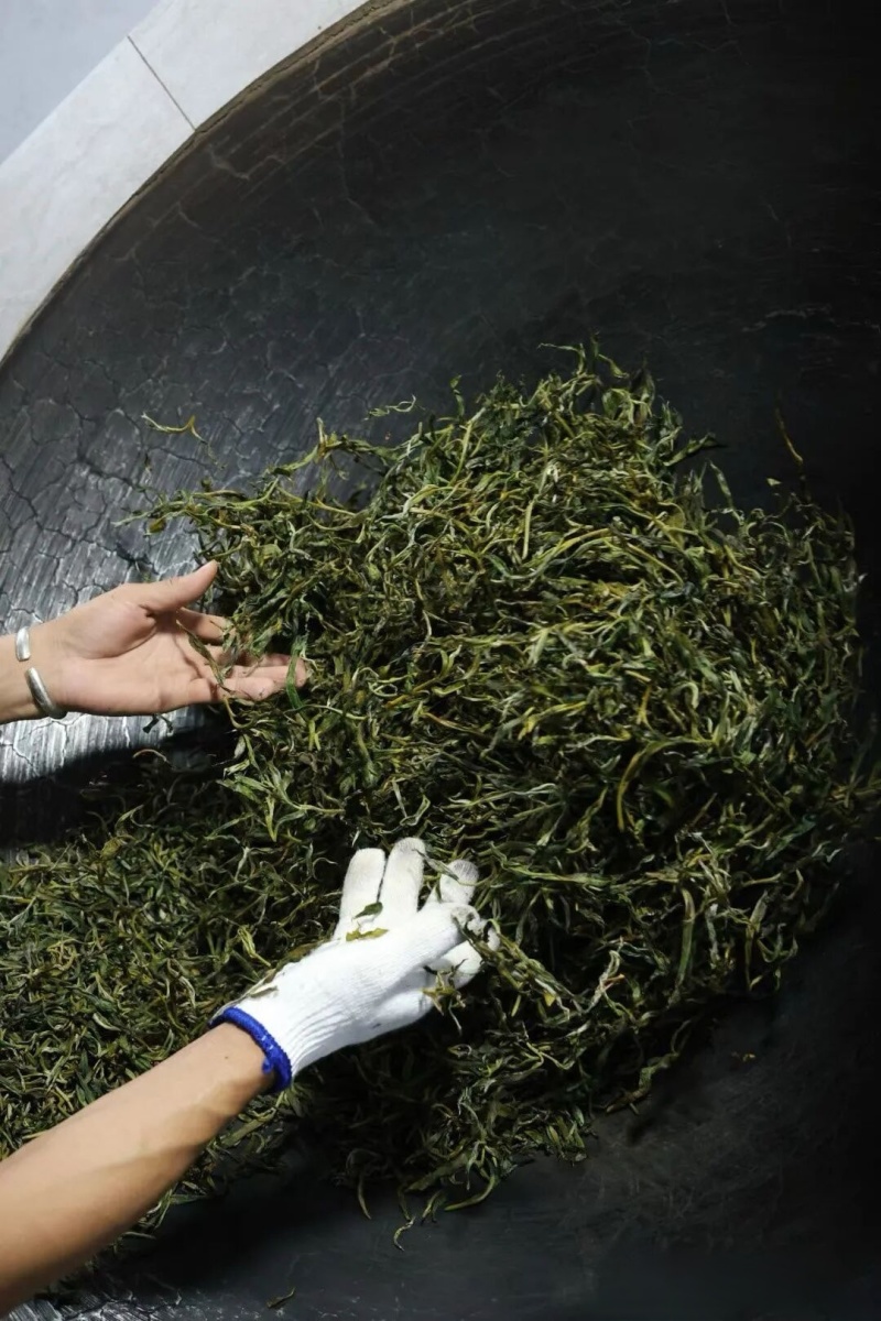 源头古树普洱茶