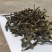 源头古树普洱茶