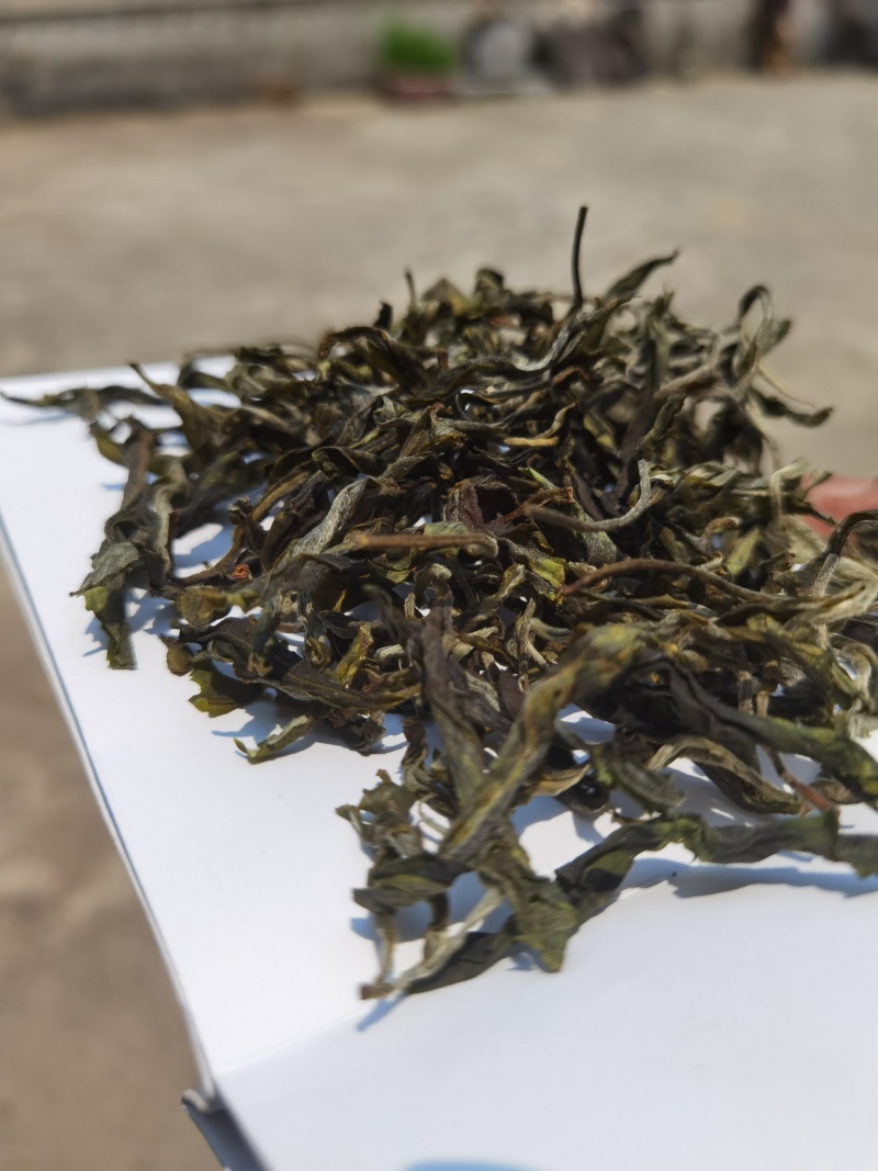 源头古树普洱茶