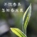 源头古树普洱茶