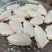 鸡翅中型号齐全！规格齐全鲜冻健康食材品质保障物流无忧