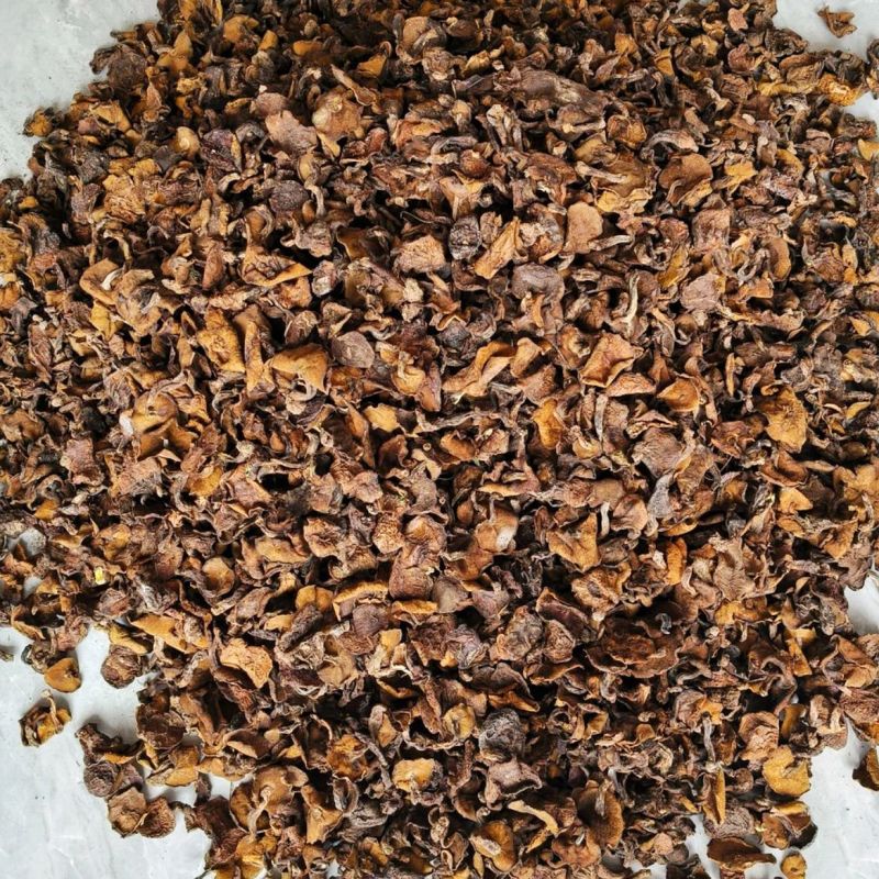 野生松蘑，肉质厚，口感好，质量保证，产地直发。