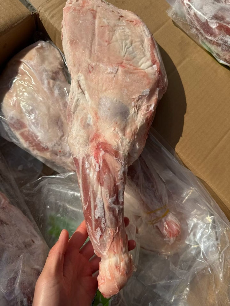 内蒙烧烤羊前腿，纯干原切，大小规格都有，可以挑。