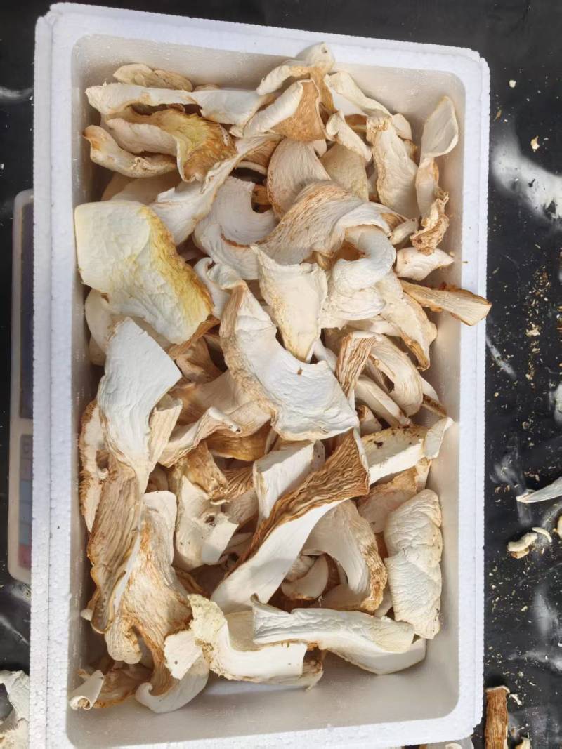 （活动促销）自然晾晒白灵菇干品