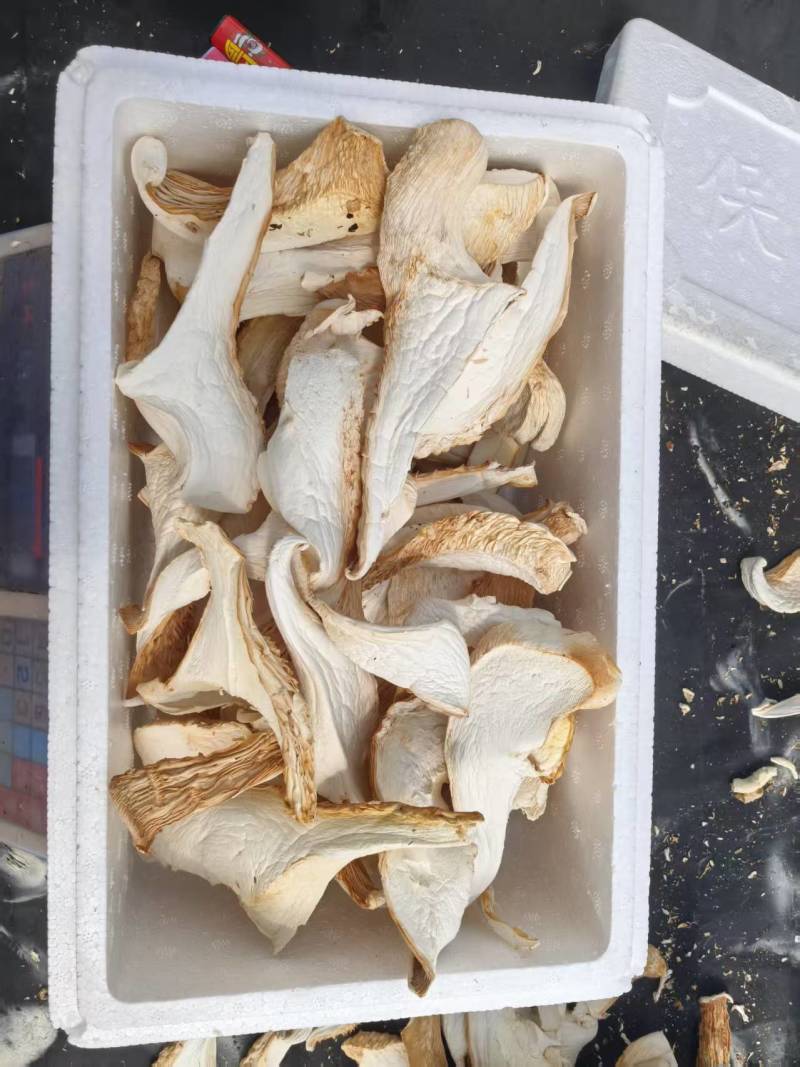 （活动促销）自然晾晒白灵菇干品
