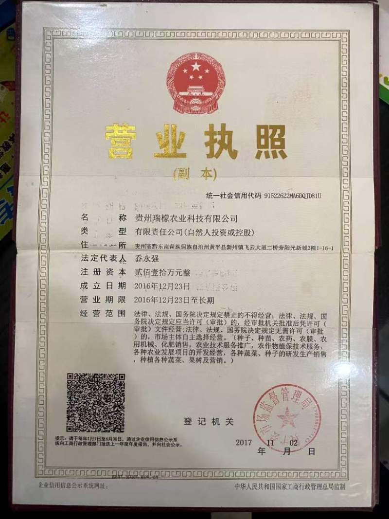 瑞檬甜瓜种子厂家直销，规格齐全，价格优惠，质量有保障