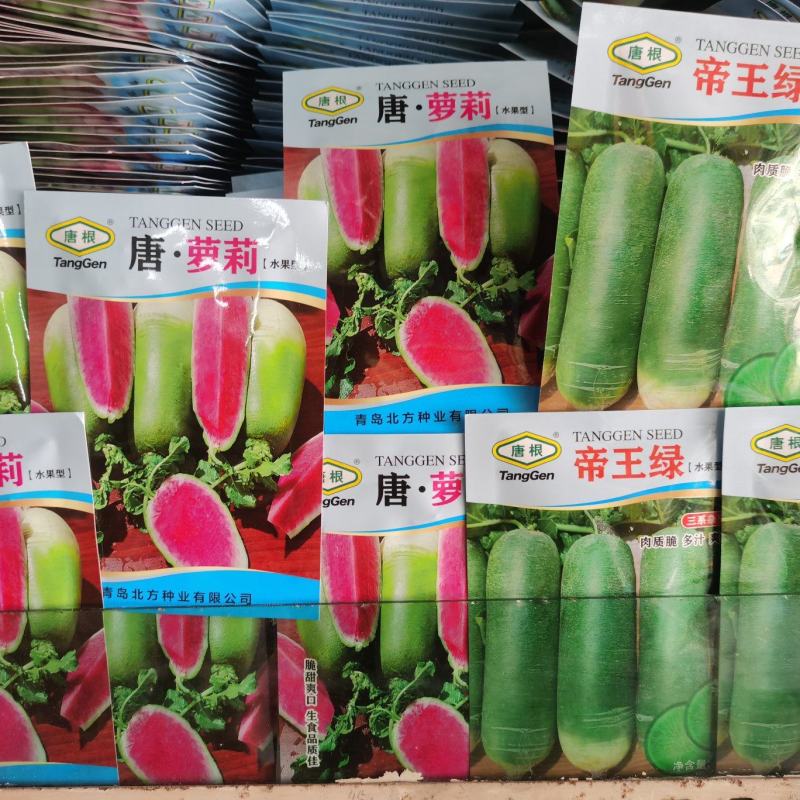 唐萝莉帝王绿三系杂交水果萝卜种子