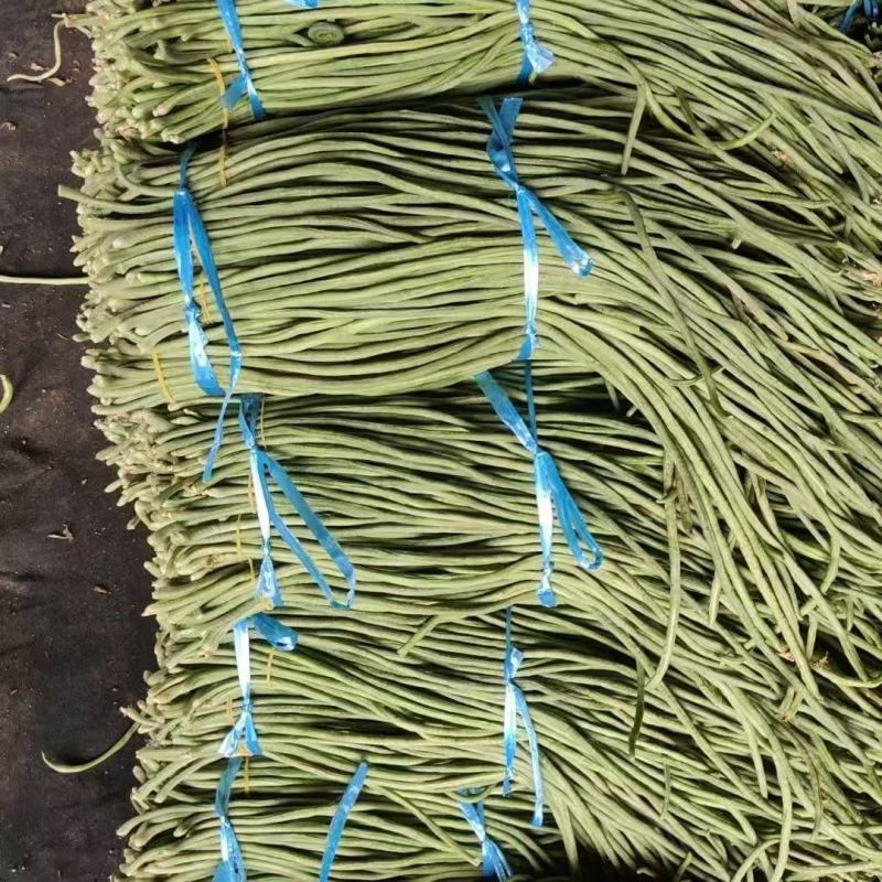 豆角，青条豆角，青白条，大量有货要货，腌制，烘干，精品
