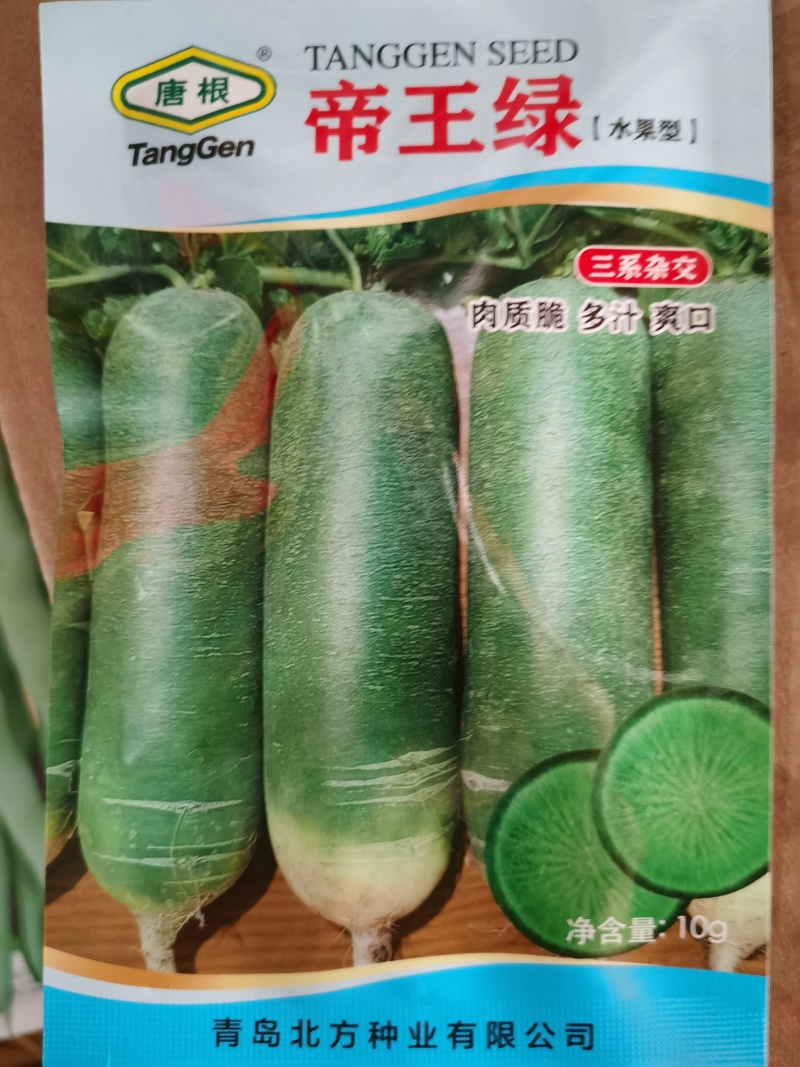 唐萝莉帝王绿三系杂交水果萝卜种子