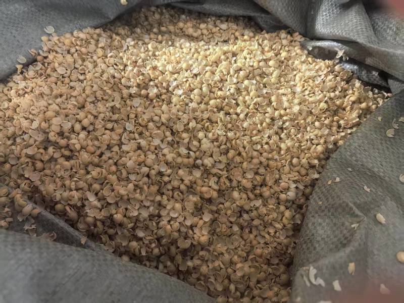 精品黄豆皮碎黄豆皮大量供应可视频看货欢迎来电采购洽谈